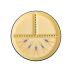 Trio Plate | Point and Pose