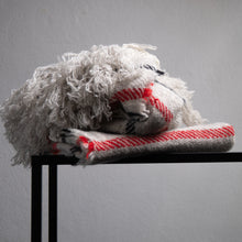 Load image into Gallery viewer, Stansborough Grey Black Red Striped Throw Rug Folded
